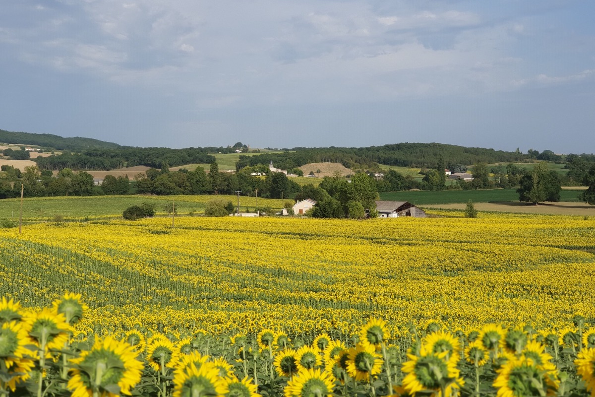Chambres d'hôtes de Fresquet, Monclar - photo 8