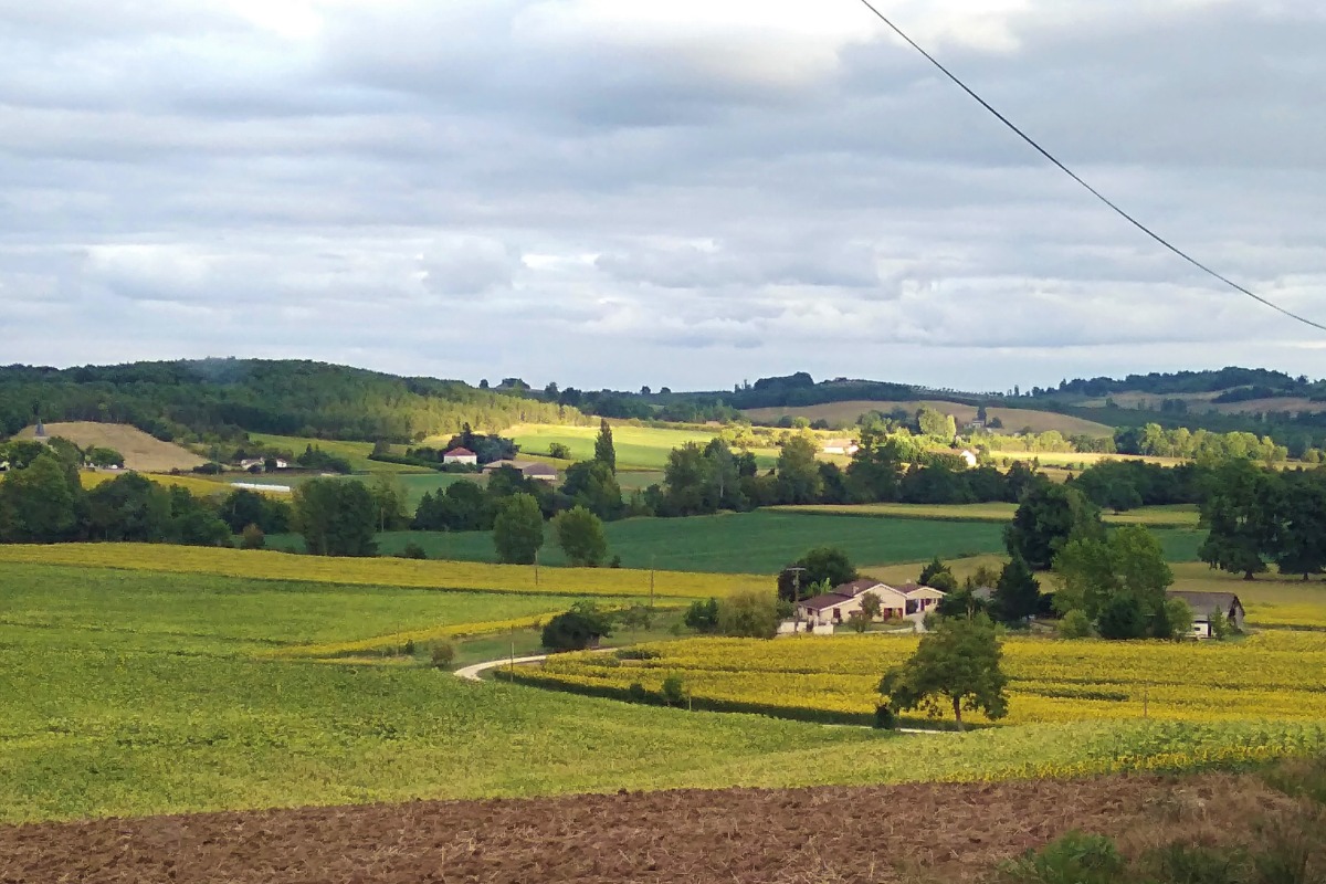 Chambres d'hôtes de Fresquet, Monclar - photo 10