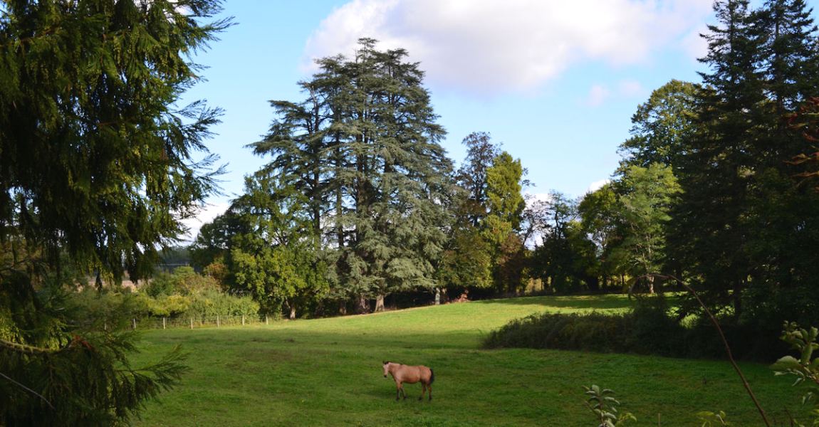 Domaine de Bernou, La Croix-Blanche - photo 13