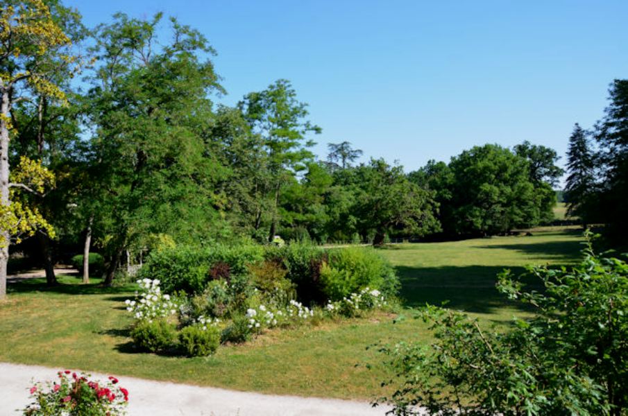 Domaine de Bernou, La Croix-Blanche - photo 15