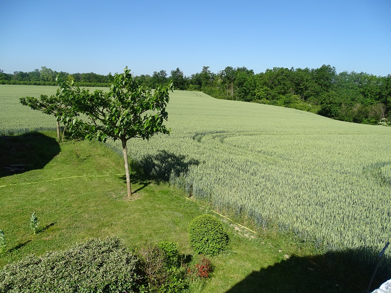 Gîte de Lagarrigue, Monflanquin - photo 7