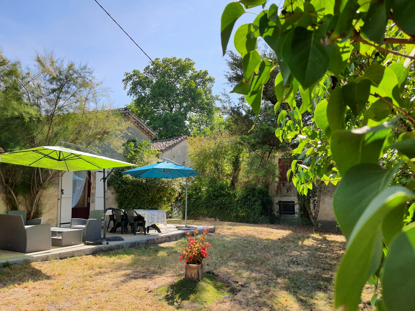 Gîte de Cap Lisse, Réaup-Lisse - photo 15