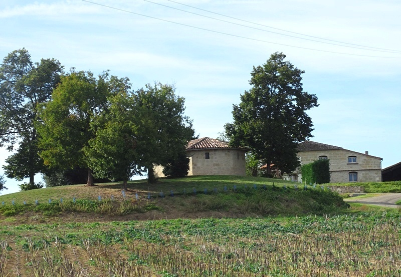 Gîte de Saint-Martin, Puymiclan - photo 13