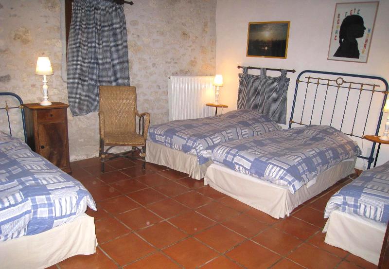 La Vieille Grange, Mazières-Naresse - photo 12