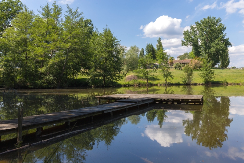 La Ferme du Boué - Le gîte Capucine, Sainte-Maure-de-Peyriac - photo 7