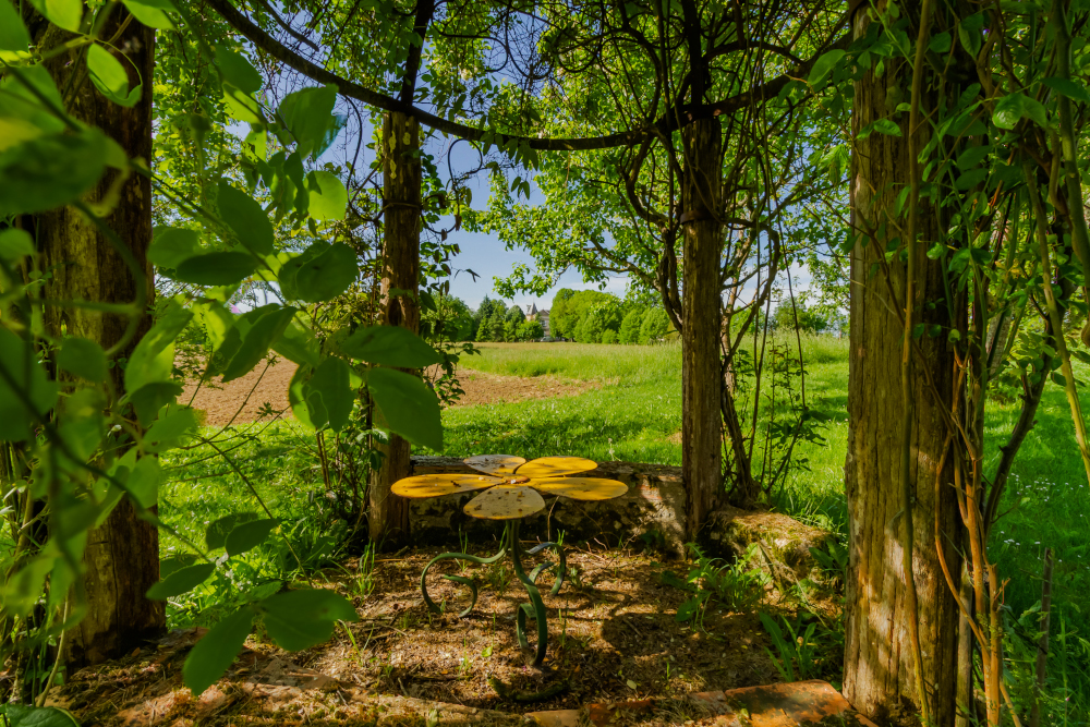 Gîte le Capricorne, Lavergne - photo 16