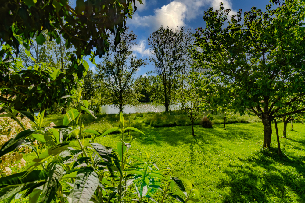 Gîte le Capricorne, Lavergne - photo 11