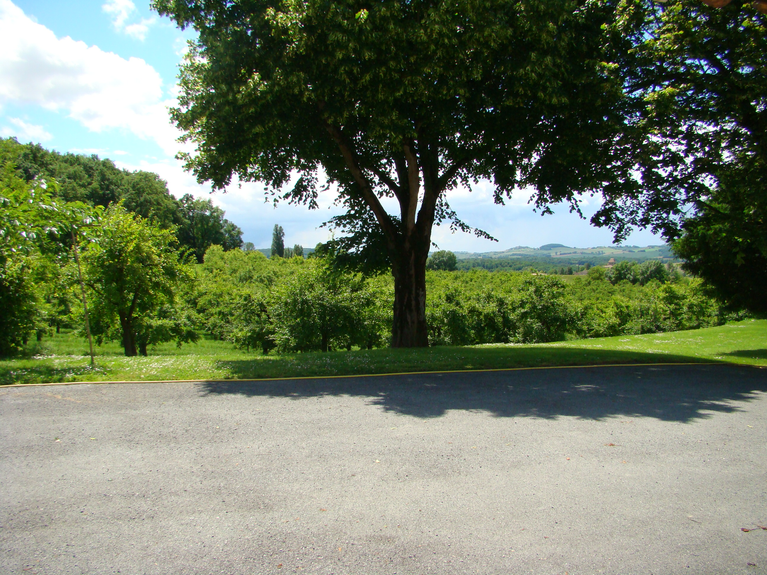 Gîte de Malvezy, Beaugas - photo 6