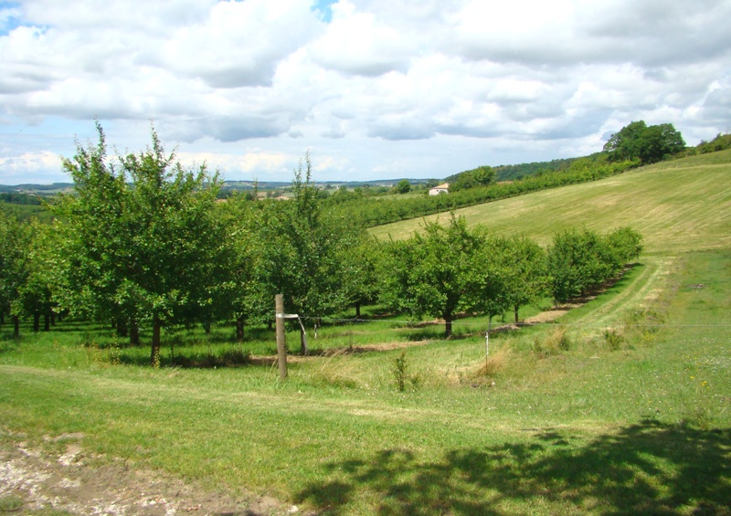 Gîte de Malvezy - photo 2
