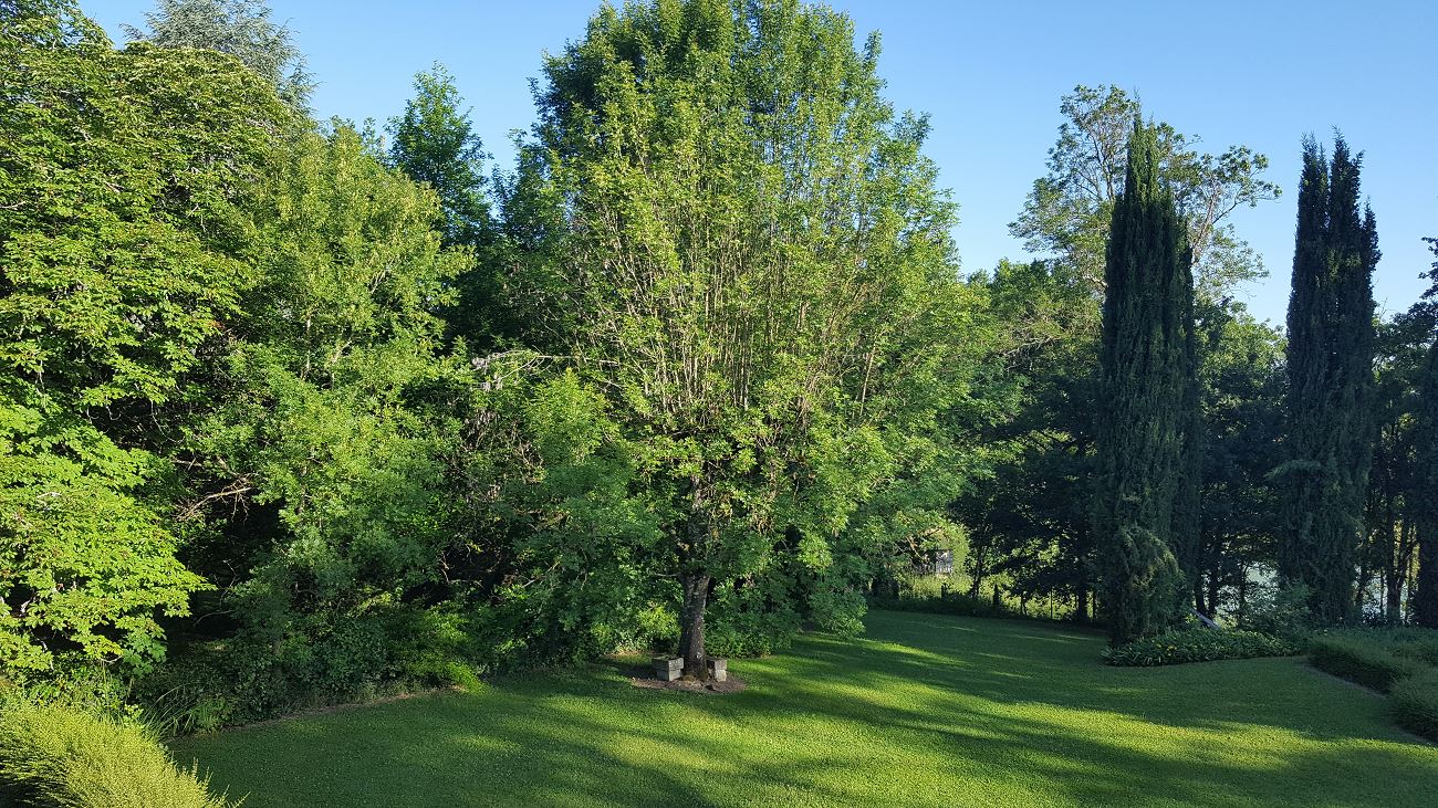 Le Pavillon du Château de Lescaut - photo 2