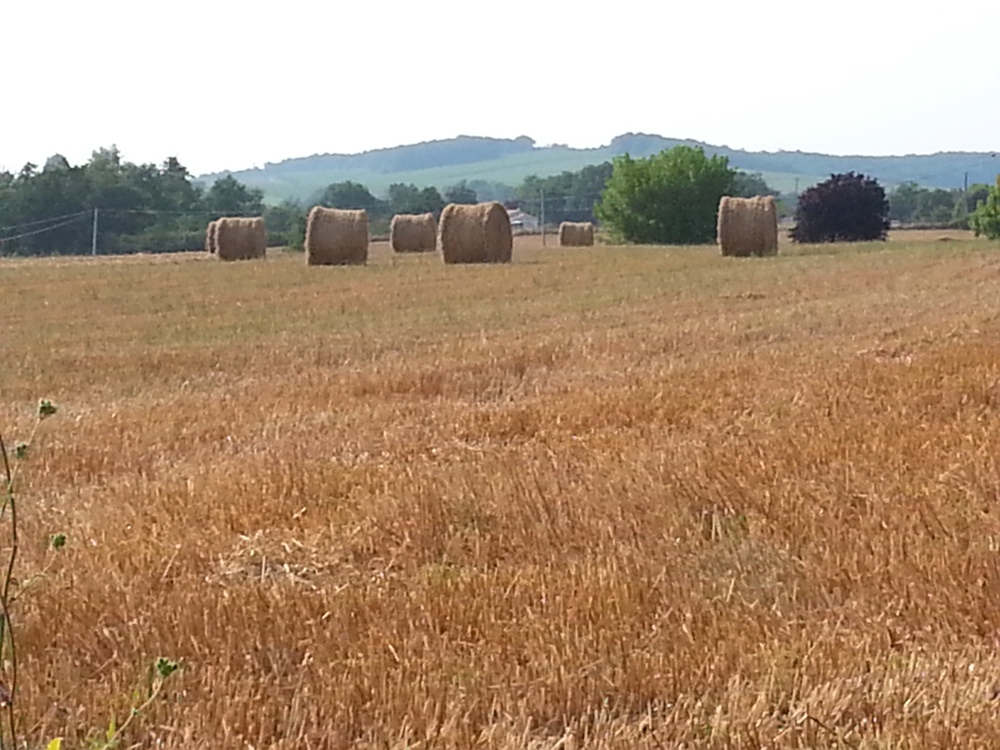 Boulede - La Bouchonnière, Monflanquin - photo 12