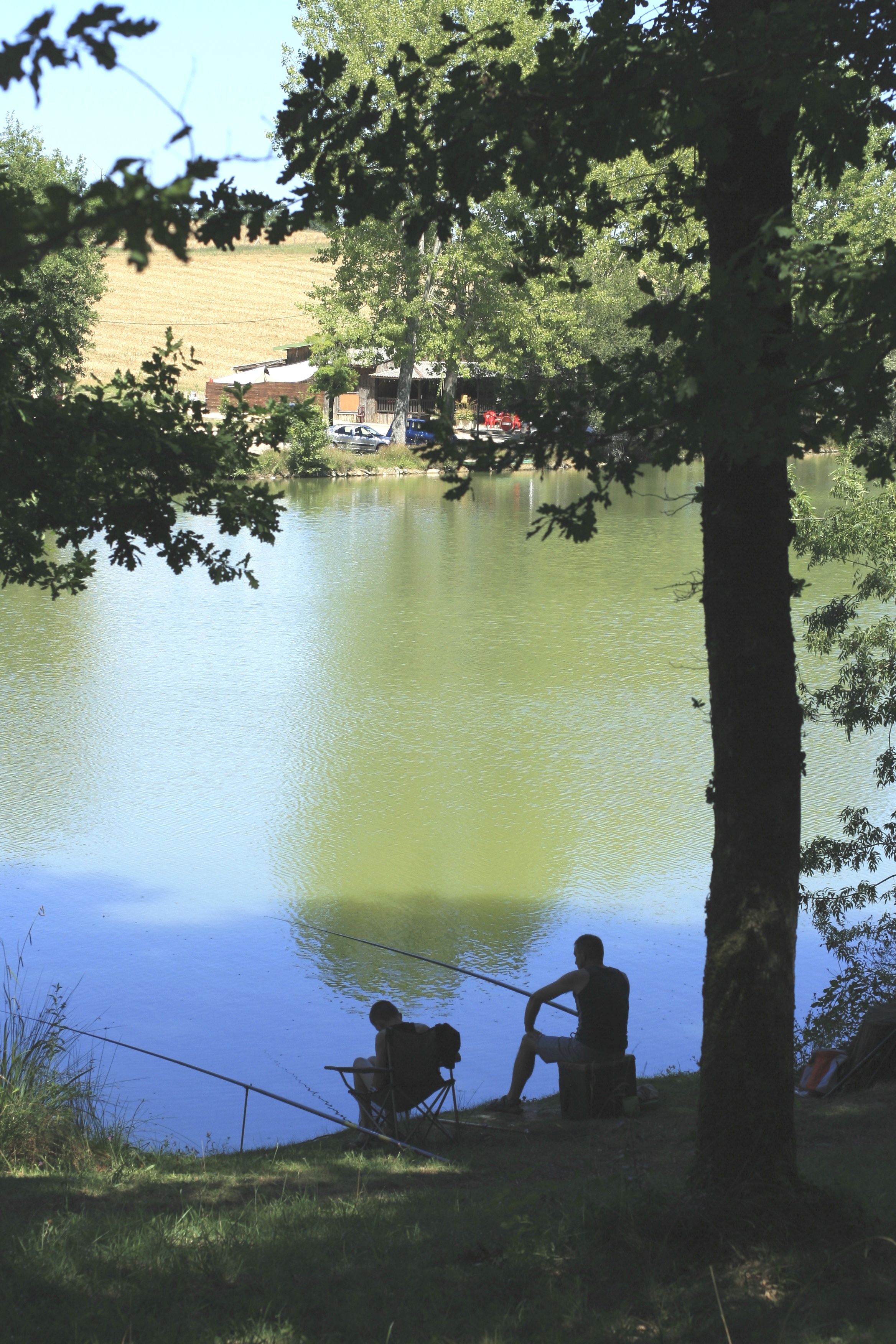 Gîtes du Lac -T2 - photo 3