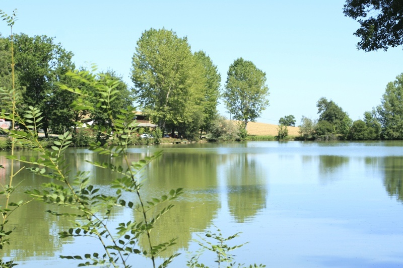 Gîte du Lac - T3 - PMR, Cancon - photo 13