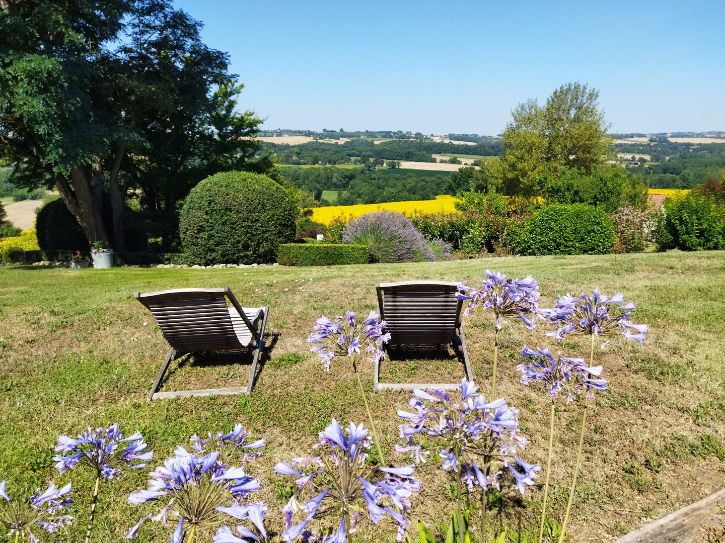 Les fleurs de Poussac, Nomdieu - photo 19