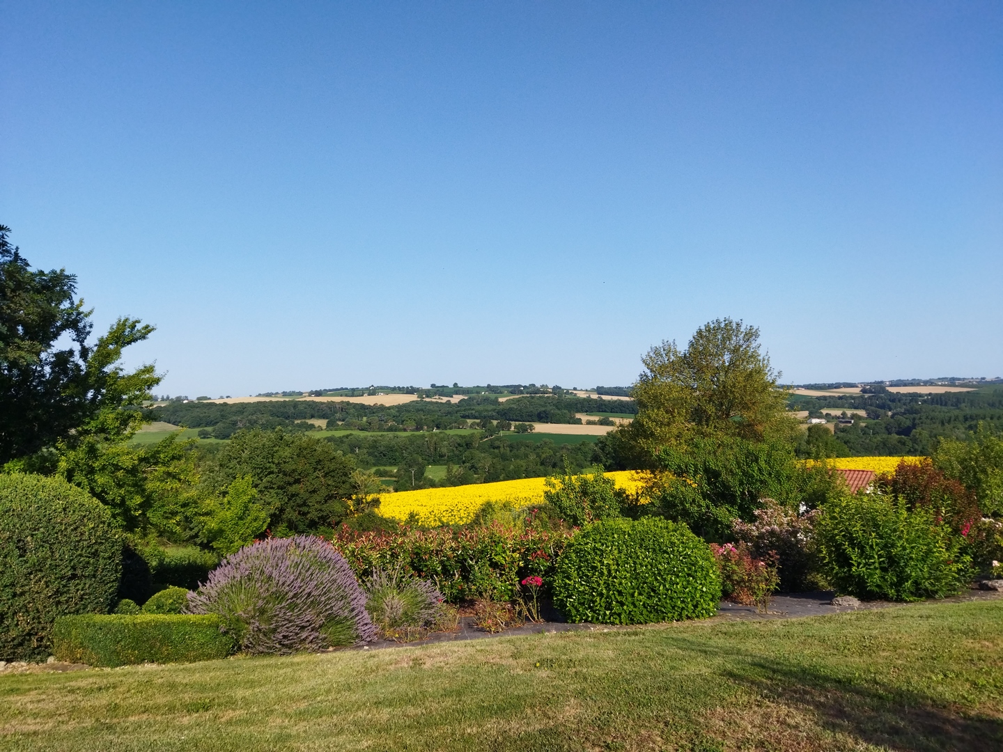 Les fleurs de Poussac, Nomdieu - photo 8