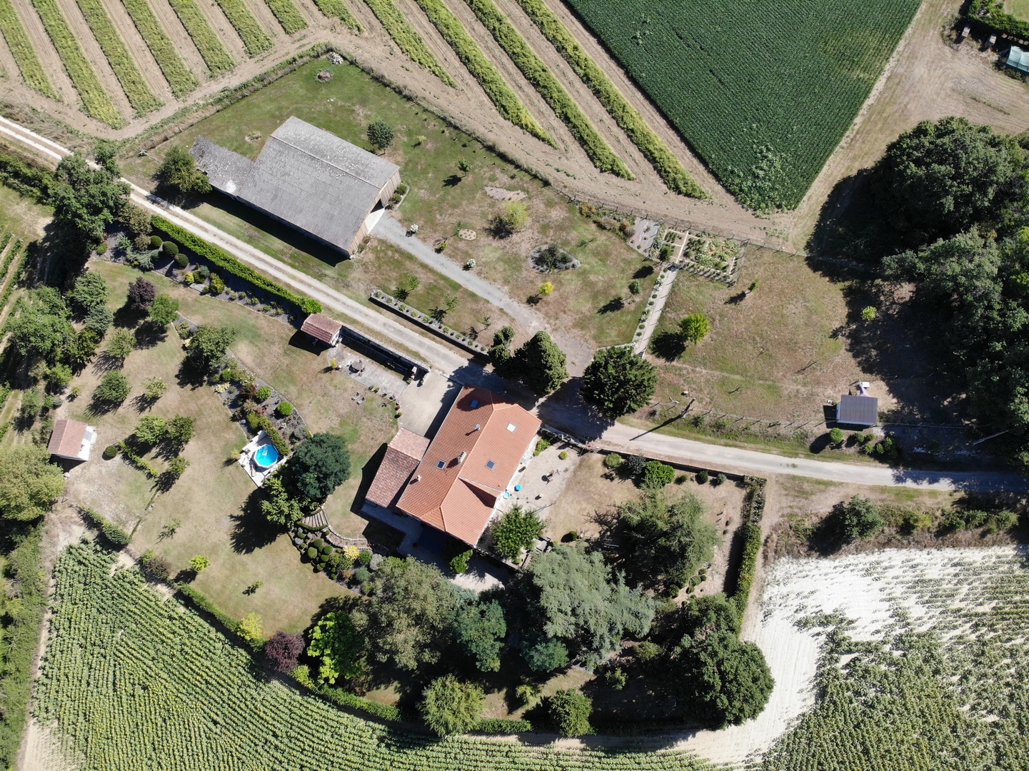 Les fleurs de Poussac, Nomdieu