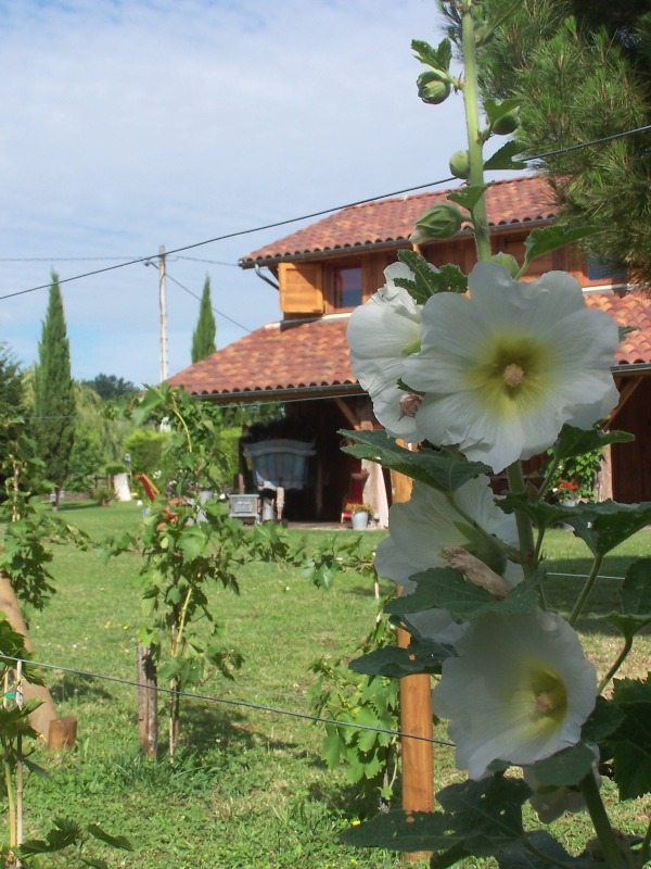 Le Séchoir à Tabac, Le Temple-sur-Lot - photo 7