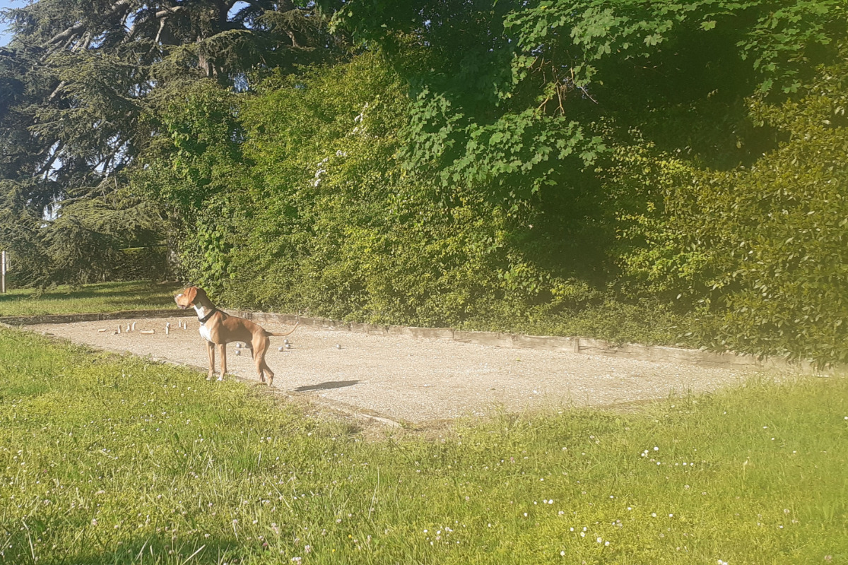 La Longère - photo 2