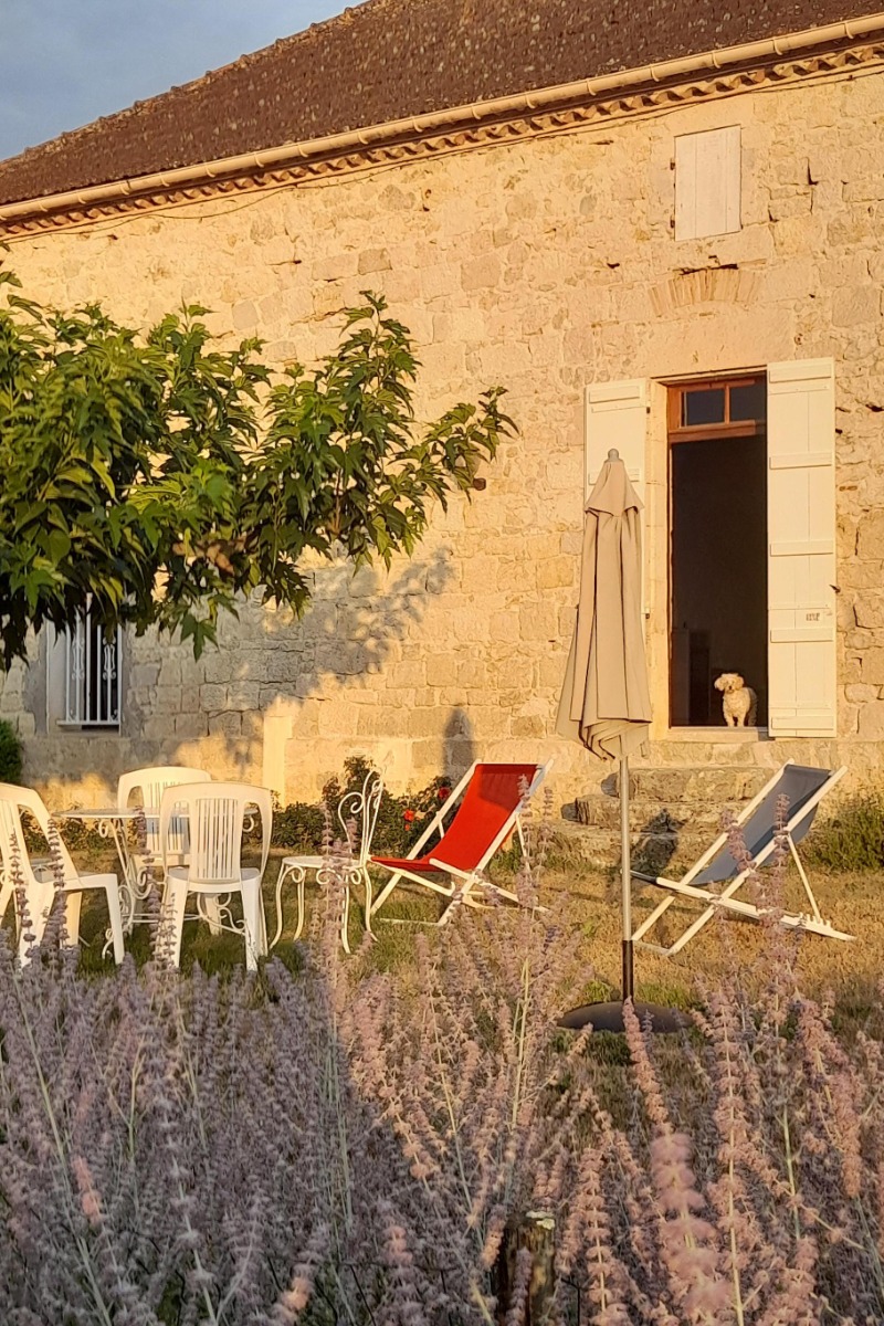 La Métairie, Saint-Robert - photo 9