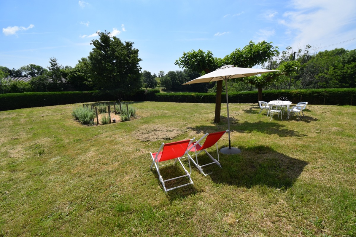 La Métairie, Saint-Robert - photo 5