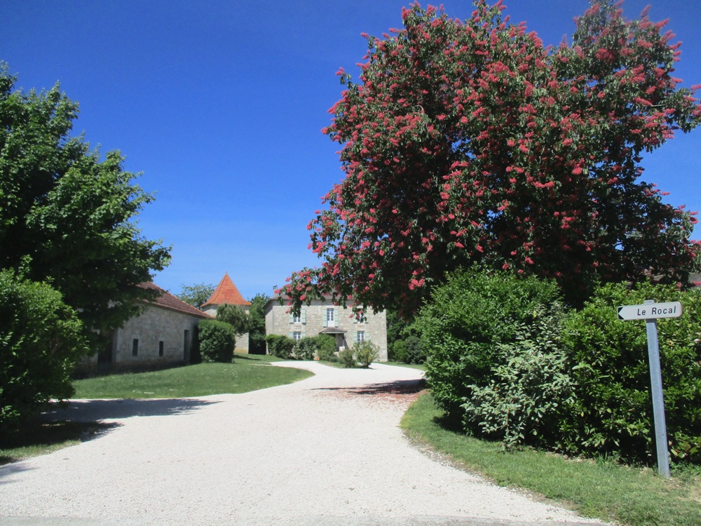 La Métairie, Saint-Robert - photo 17
