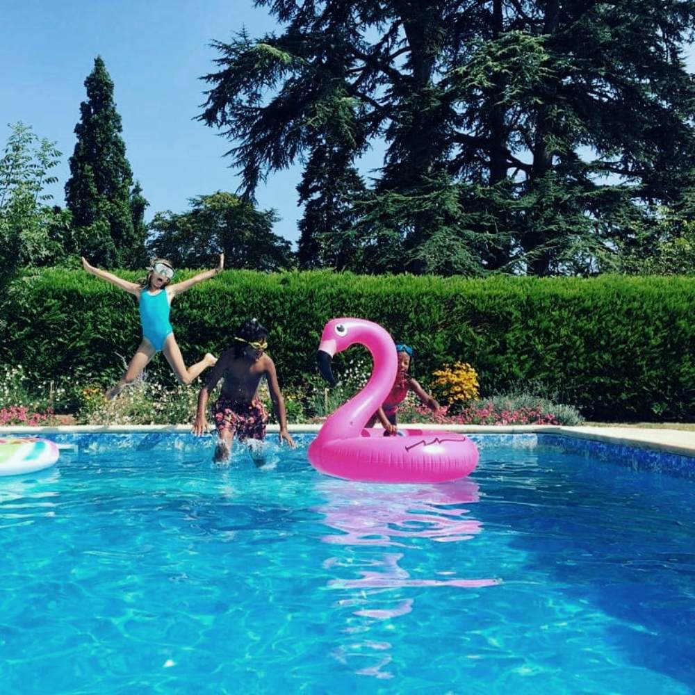 La Métairie, Saint-Robert - photo 22