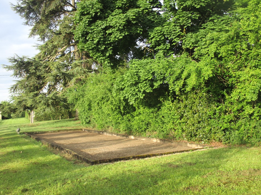 La Métairie, Saint-Robert - photo 26