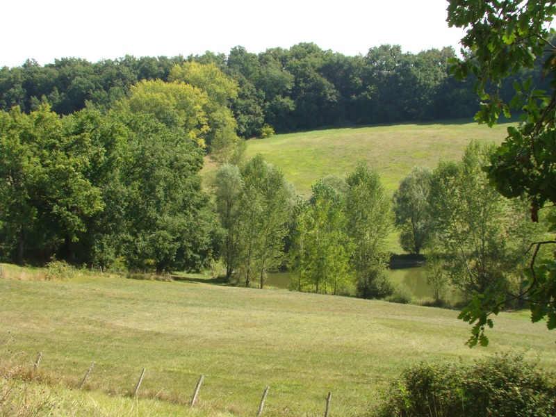 Domaine du Vallon- Gîte Guyenne, Saint-Hilaire-de-Lusignan - photo 7