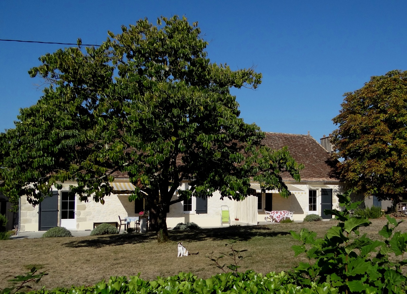 Gîte de Lassagne - Les Tilleuls, Castillonnès - photo 6