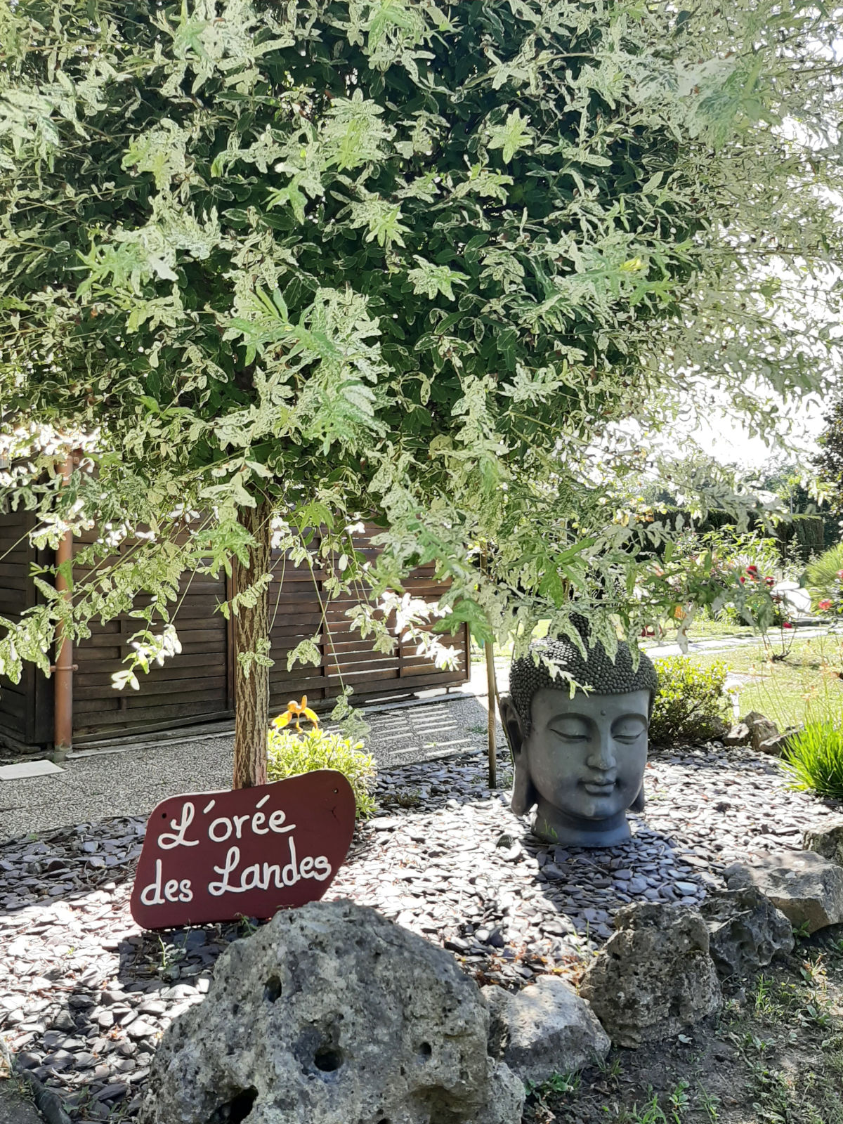 Gîte l'Orée des Landes, Pindères - photo 11