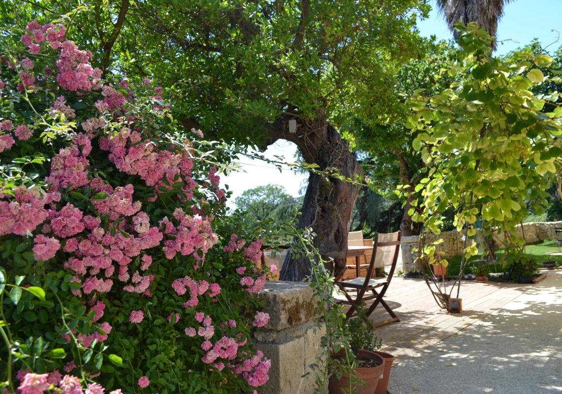 Chambres d'hôtes les Terrasses de Bessou, Clermont-Dessous - photo 37