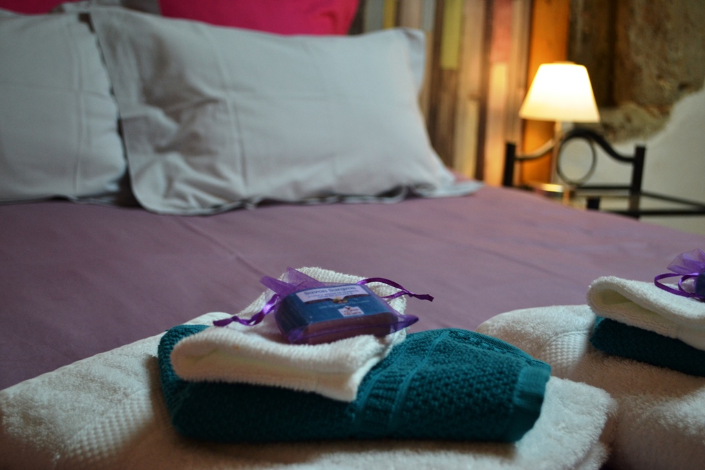 Chambres d'hôtes les Terrasses de Bessou, Clermont-Dessous - photo 3