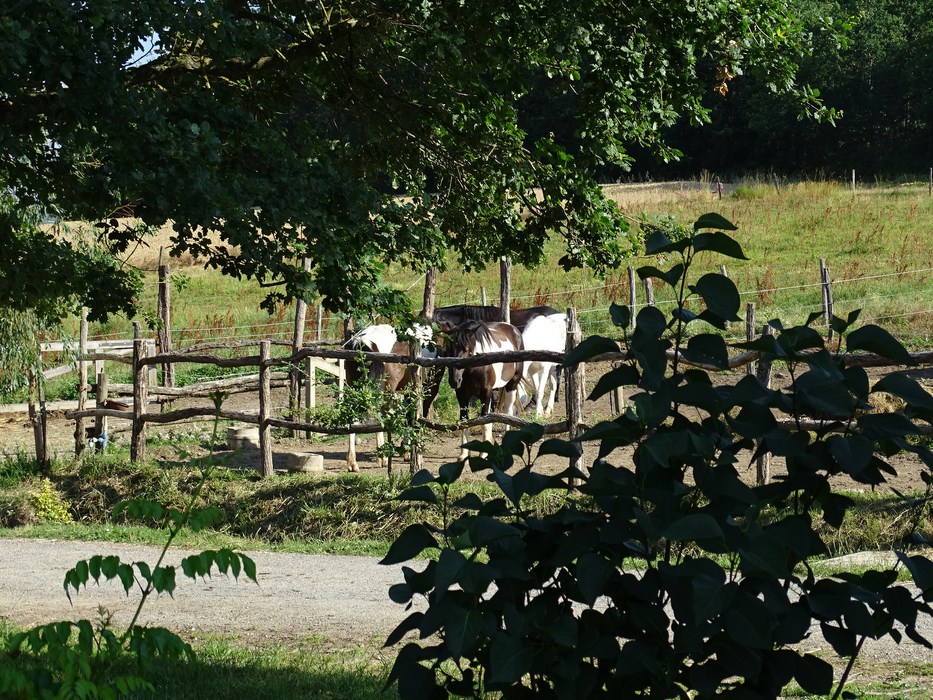 Les hébergements du Ranch du Bel air - photo 4