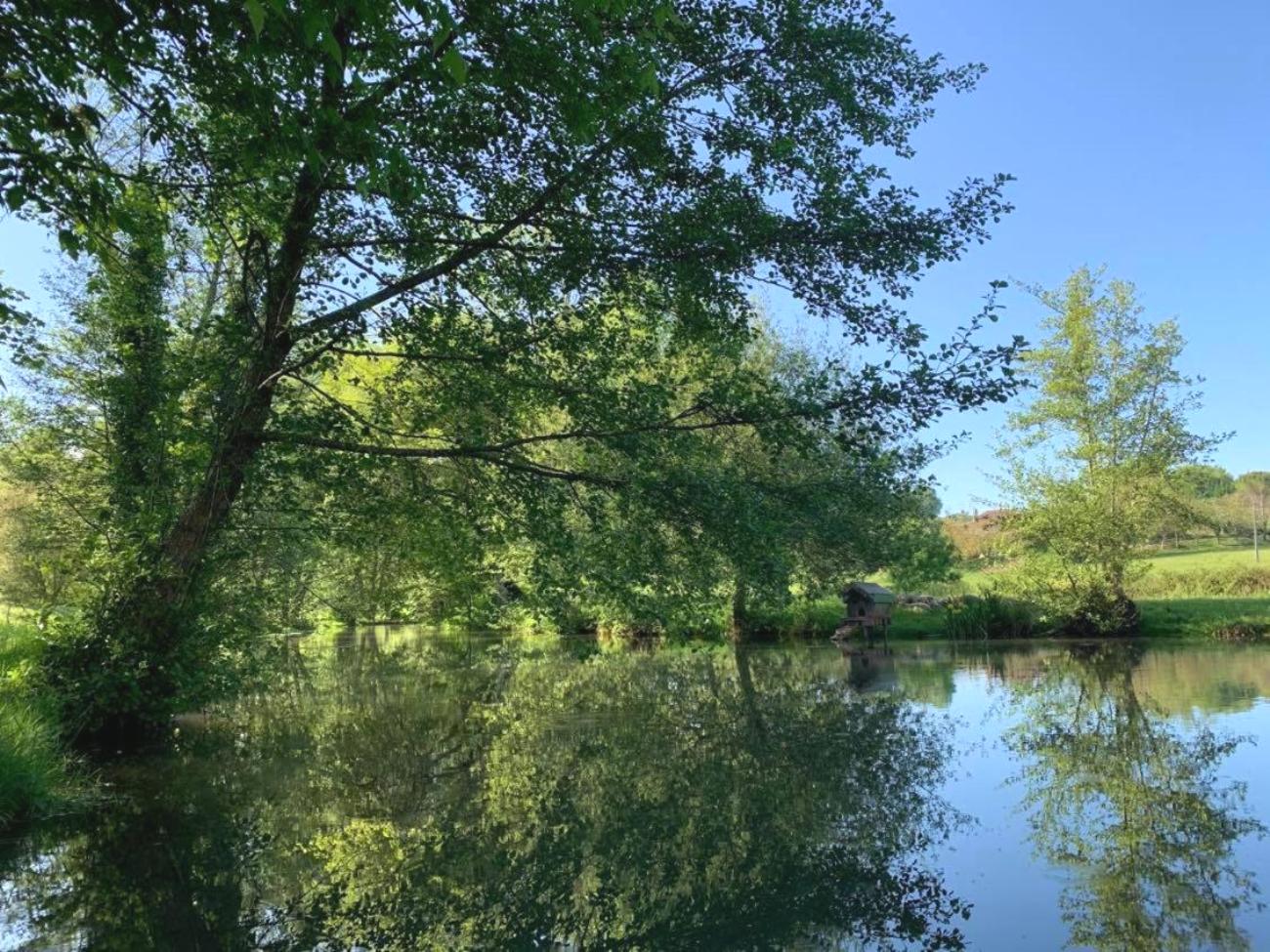 Gîte du Moulin de Lausseignan, Barbaste - photo 22