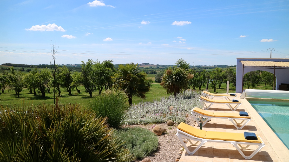 Domaine Les Pruniers - Gîte Mirabelle, Montastruc - photo 8