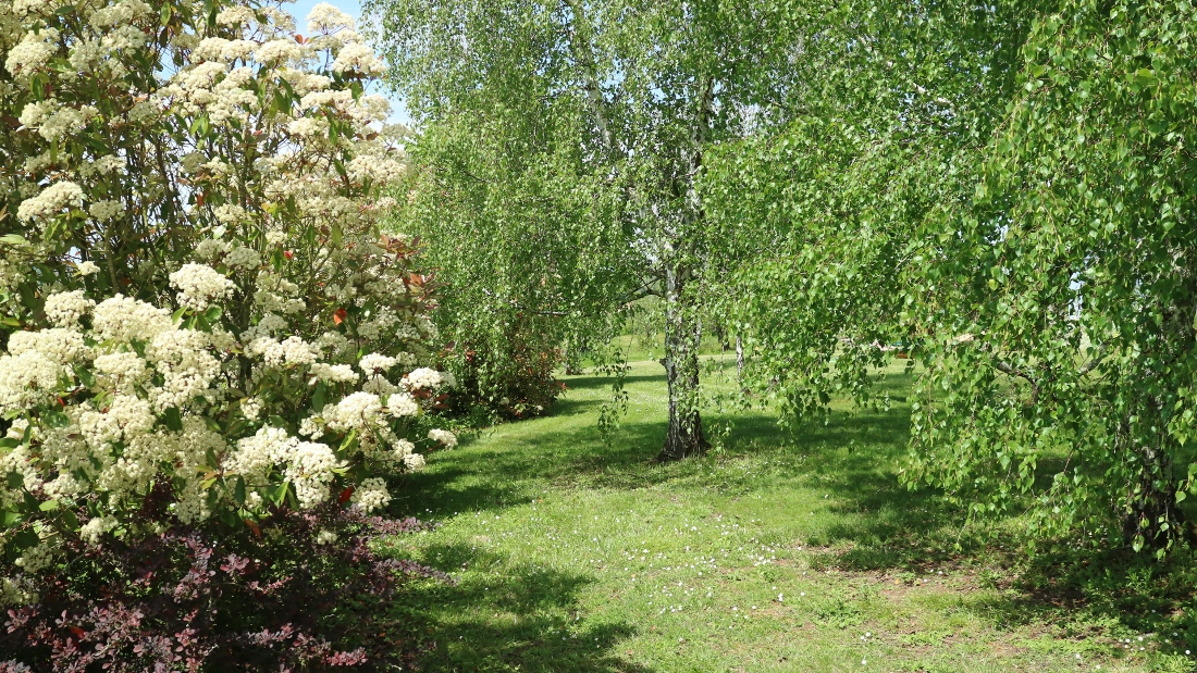 Domaine Les Pruniers - Gîte Myrtille, Montastruc - photo 17