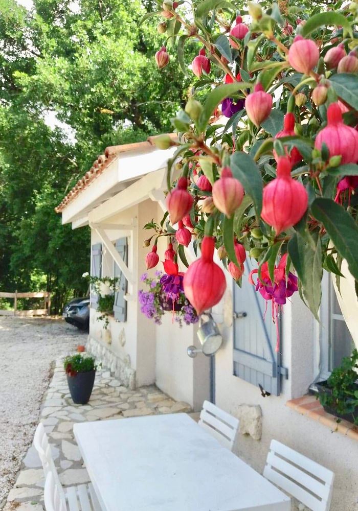 Gîte Le Petit Bruguères - photo 5