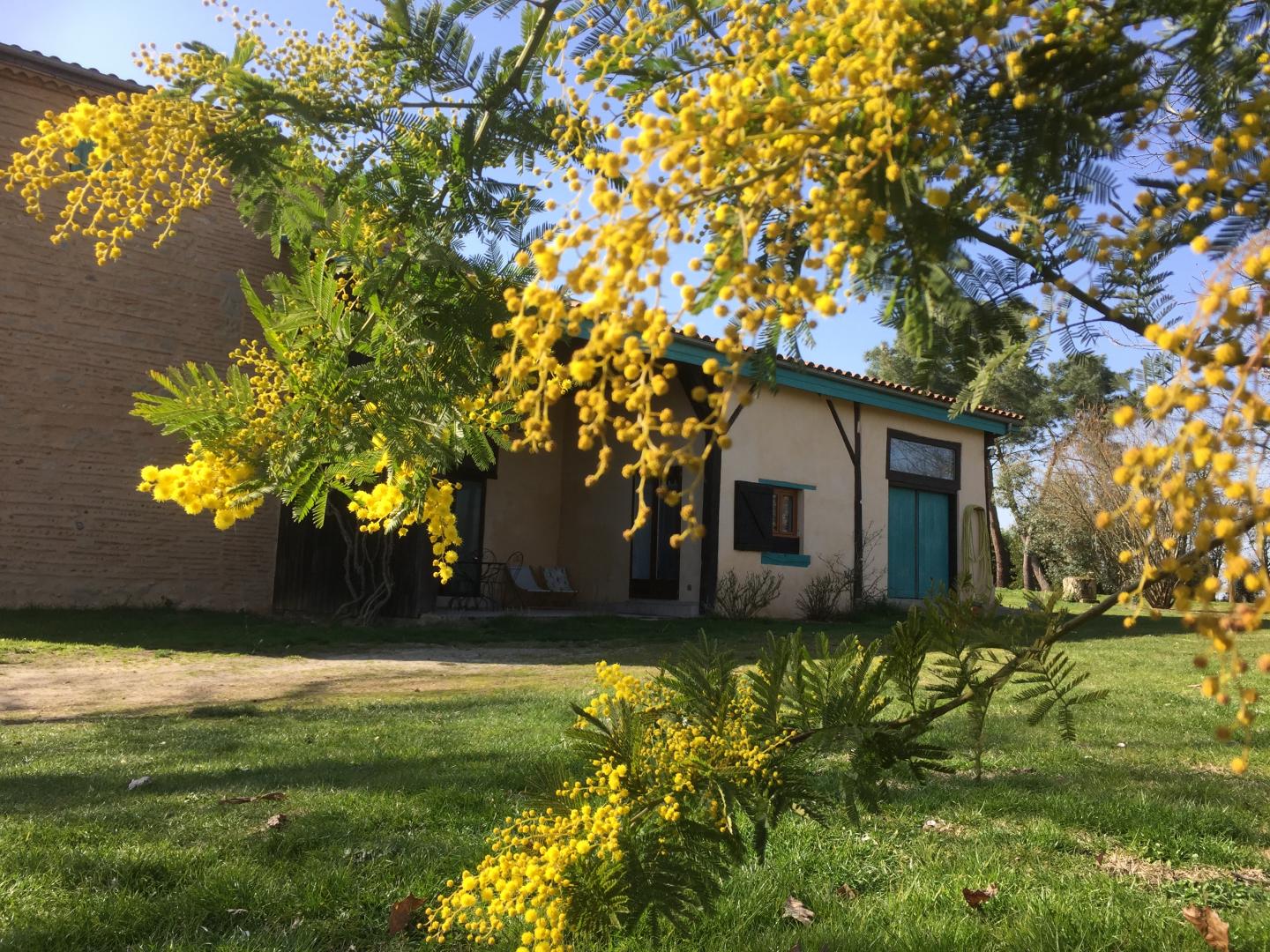 Les Terrasses des Mimosas, Caumont-sur-Garonne - photo 8