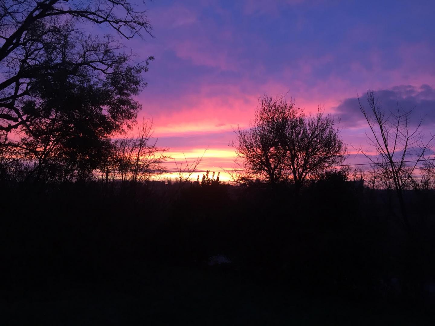Les Terrasses des Mimosas, Caumont-sur-Garonne - photo 5