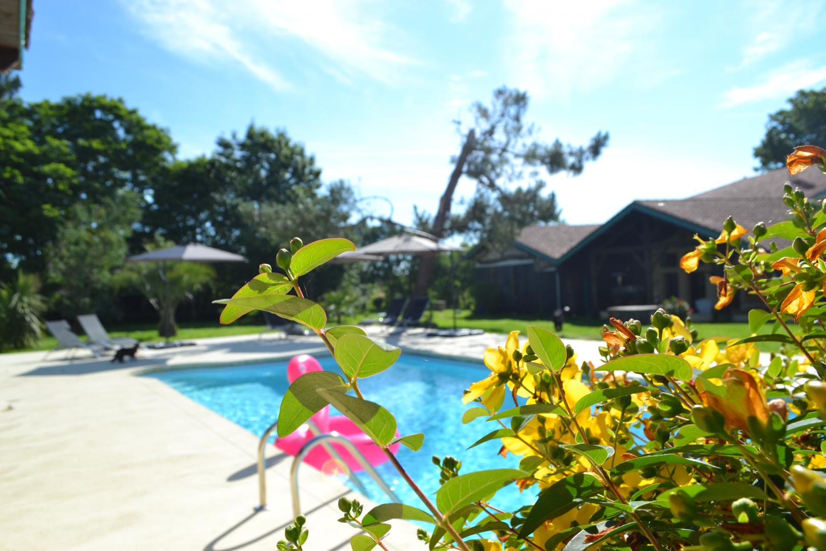 Gîte Les Mimosas, Caumont-sur-Garonne - photo 10