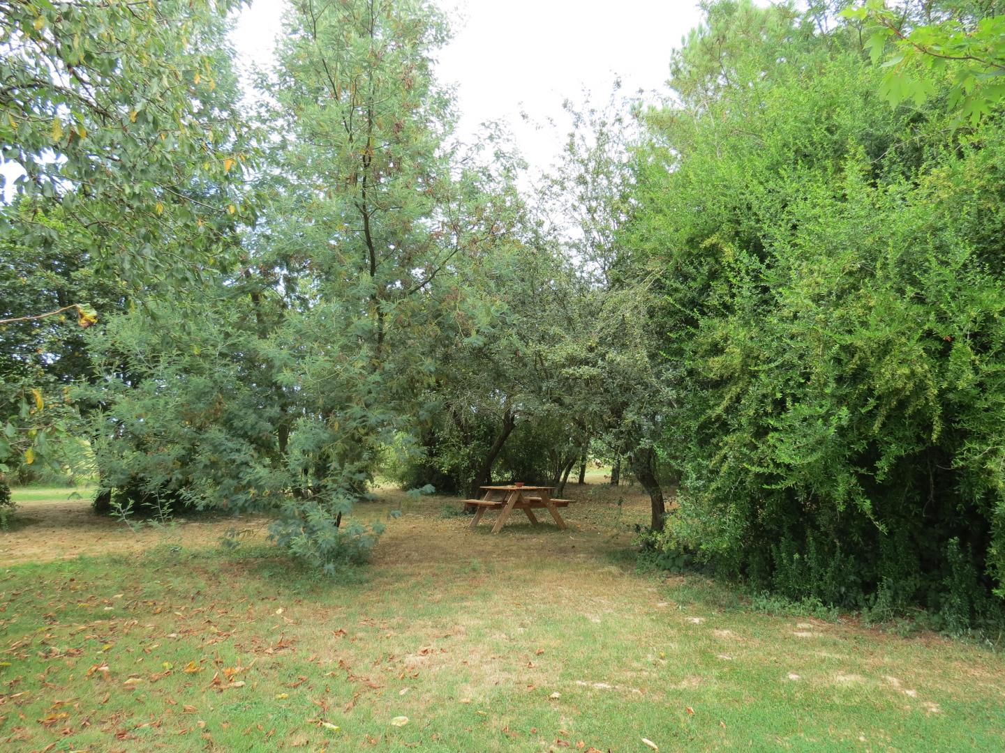 Gîte Les Mimosas, Caumont-sur-Garonne - photo 7