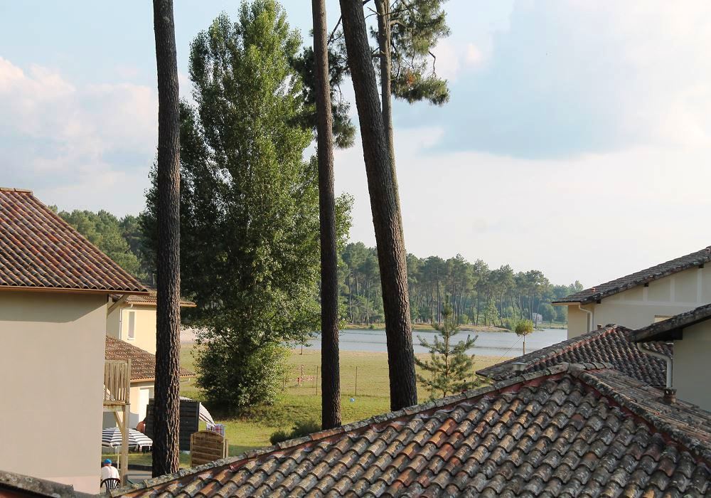 Gîte sous les Pins, Casteljaloux - photo 14