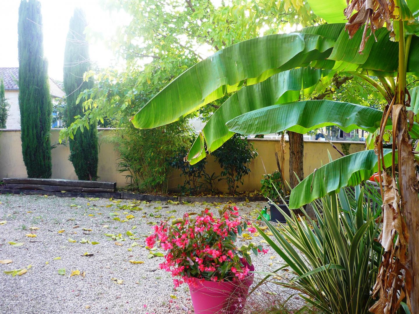 Les Marronniers, Montignac-Toupinerie - photo 11