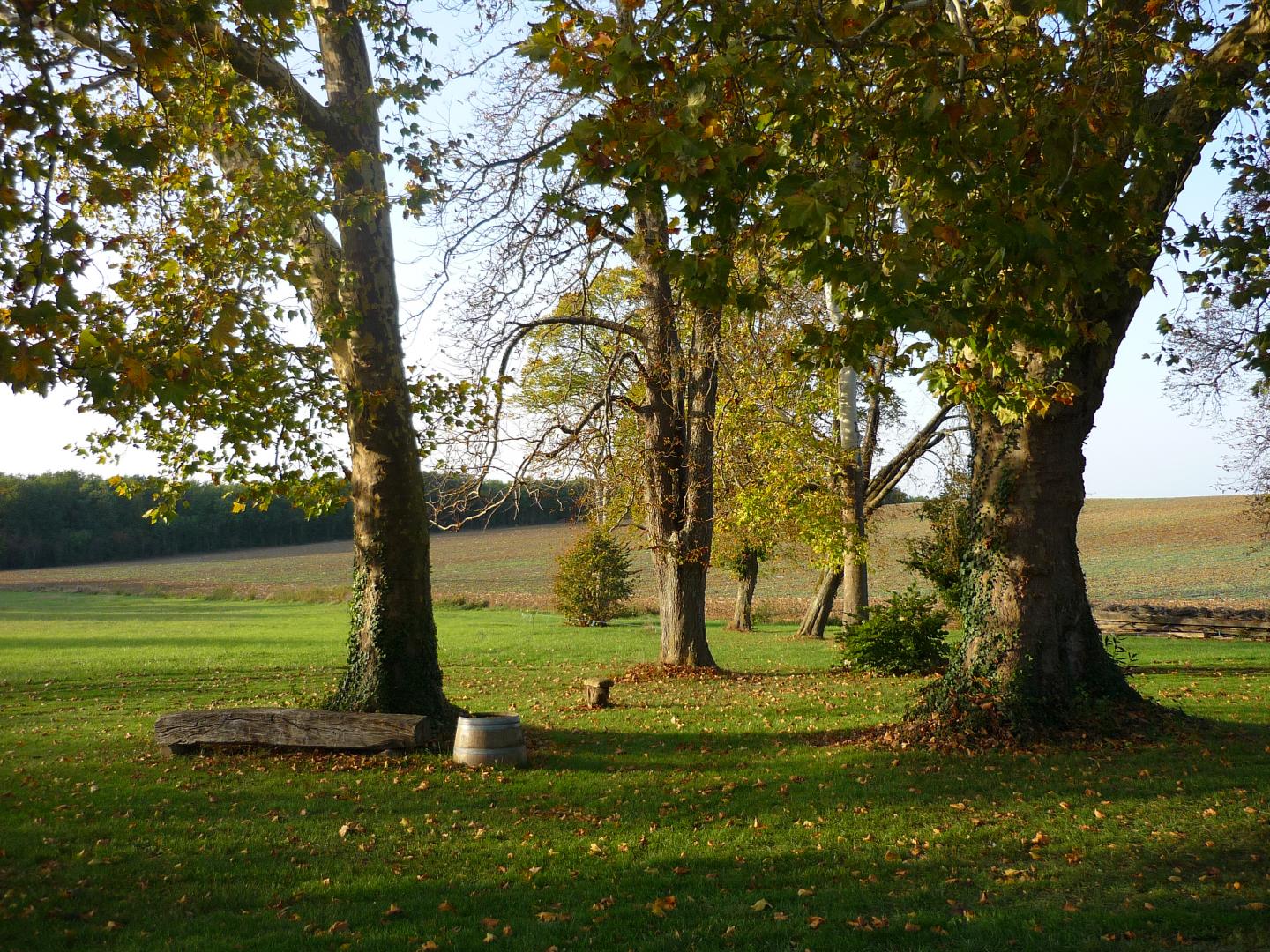 Les Marronniers - photo 3