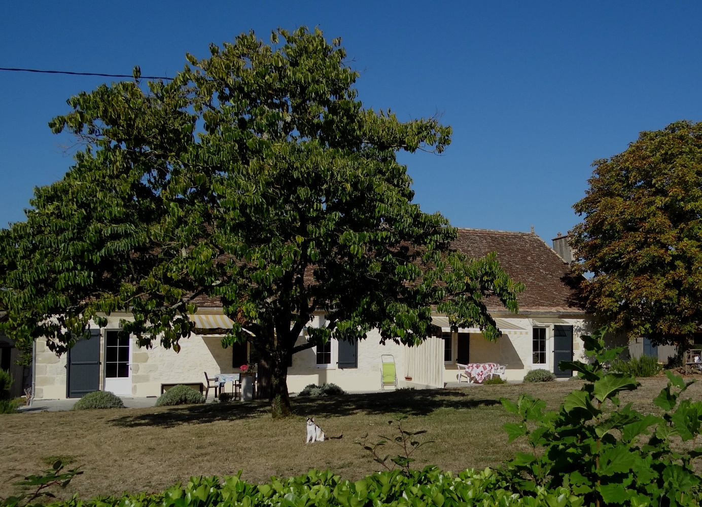 Gîtes de Lassagne - Le Marronnier - photo 3