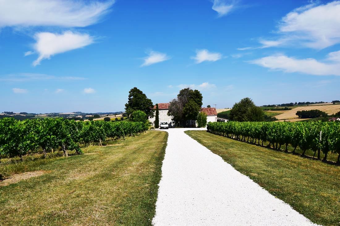 Le gîte des Coteaux, Montagnac-sur-Auvignon - photo 7