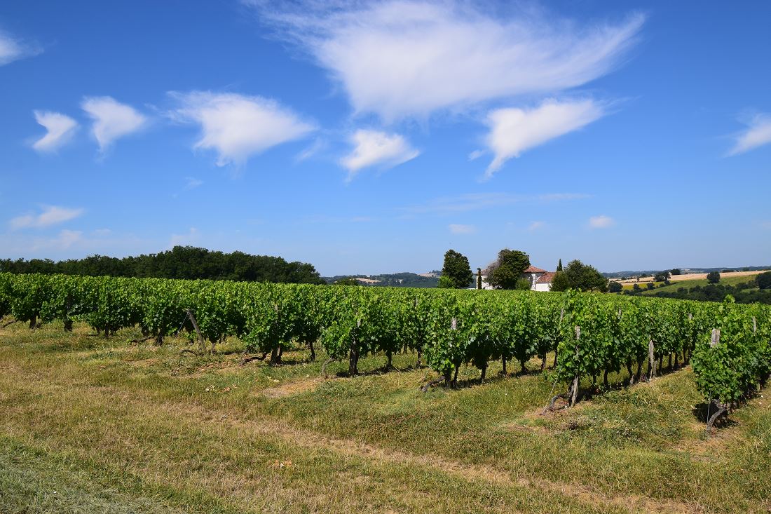 Le gîte des Coteaux, Montagnac-sur-Auvignon - photo 5