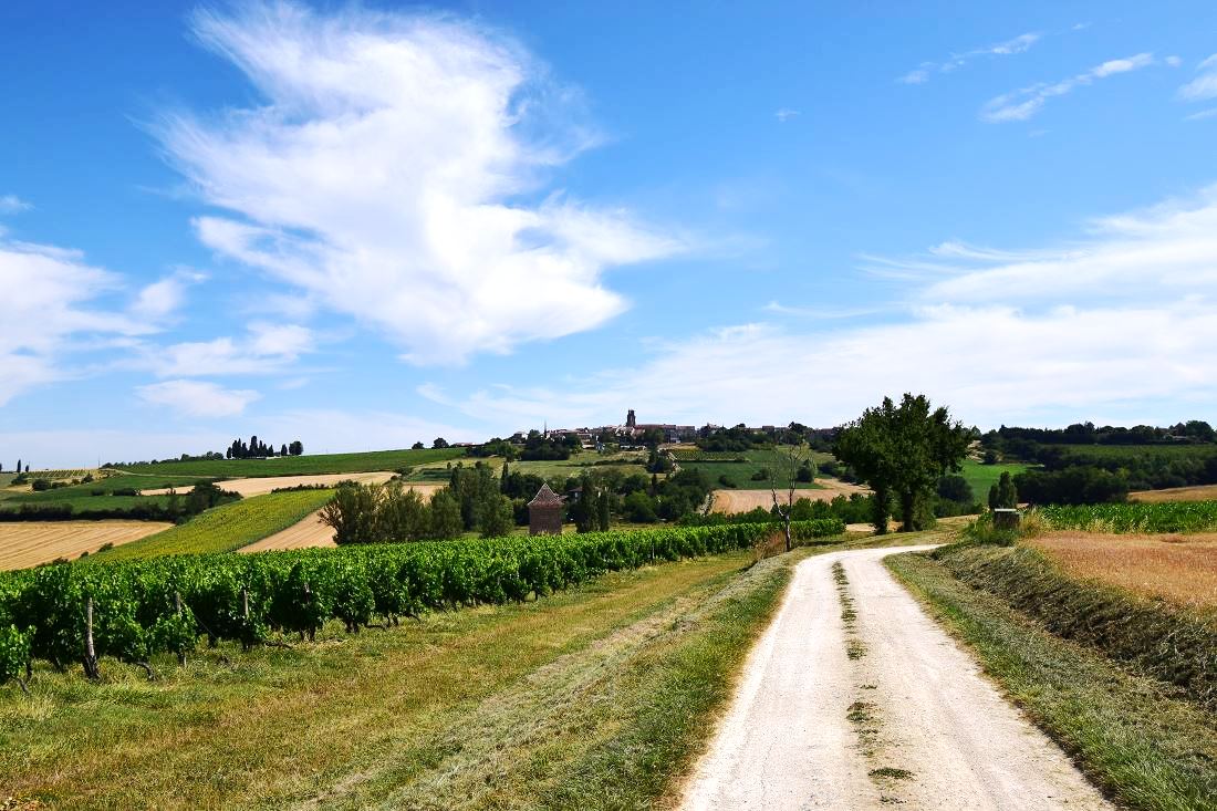 Le gîte des Coteaux, Montagnac-sur-Auvignon - photo 6