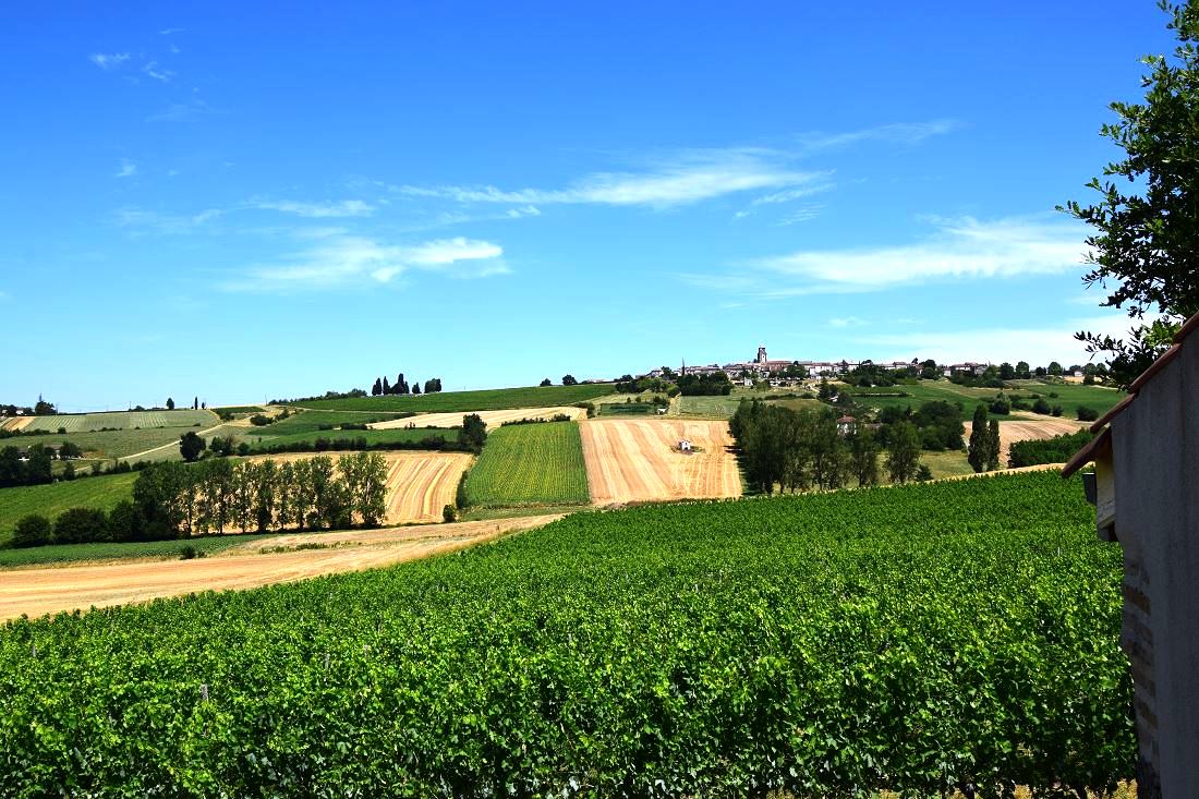 Le gîte des Coteaux, Montagnac-sur-Auvignon - photo 15