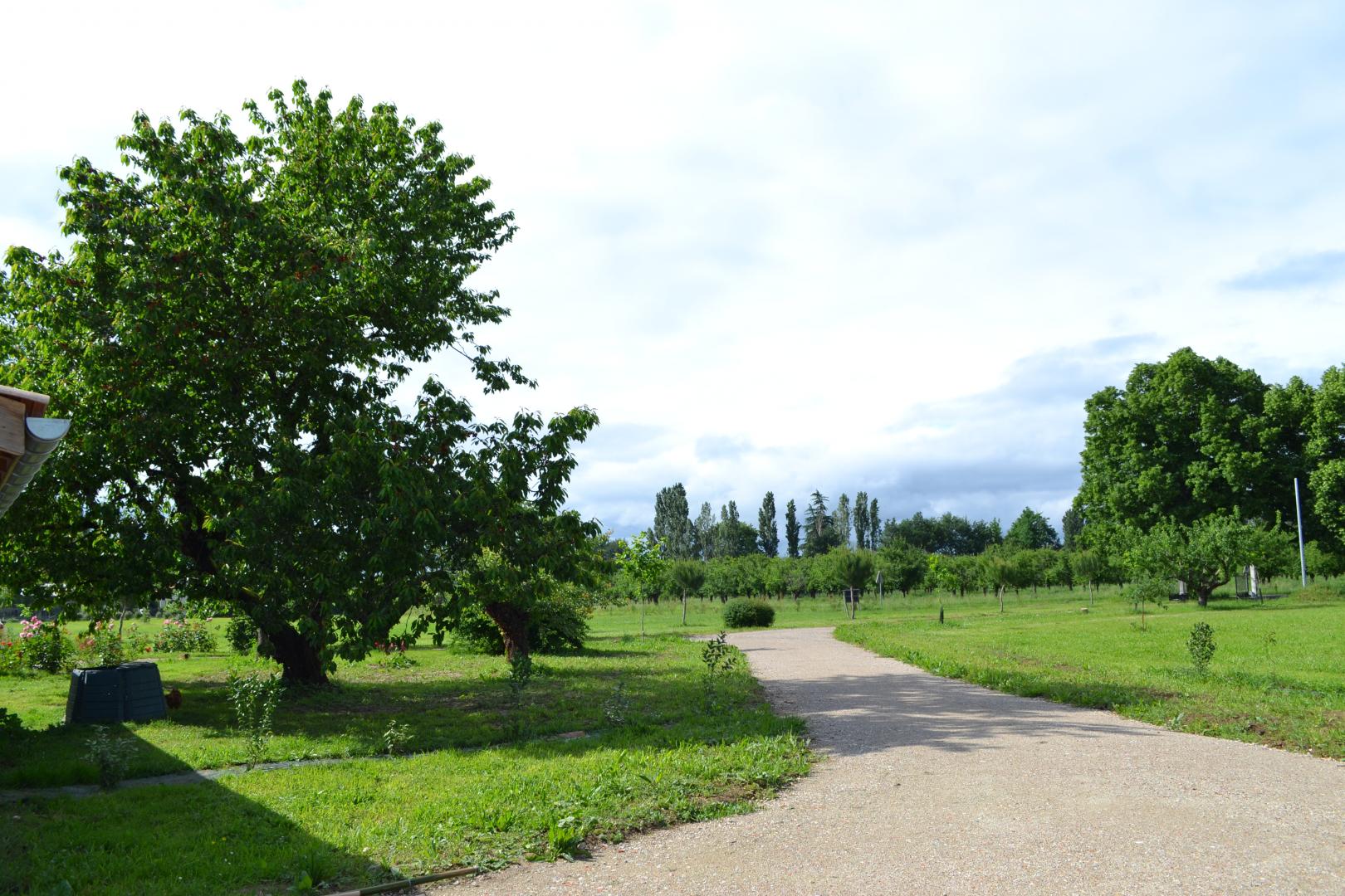 La Fournière du Lot, Saint-Étienne-de-Fougères - photo 17